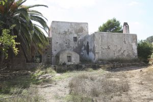 Albert den Iseger Fotografie